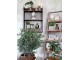 Hnědý antik dřevěný regál s košíky Cart No 5 - 42*70*170cm Chic Antique