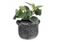 Granitový antik cementový obal na květináč s uchy - 17*15*13 cm Clayre & Eef