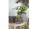 Granitový antik cementový obal na květináč s uchy - 17*15*13 cm Clayre & Eef