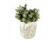 Cementový obal na květináč s jitrocelem Plantain S - Ø13*13 cm Clayre & Eef