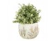 Cementový obal na květináč s jitrocelem Plantain S - Ø14*11cm Clayre & Eef