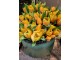 Kytice 7ks oranžových realistických tulipánů - 45cm J-Line by Jolipa