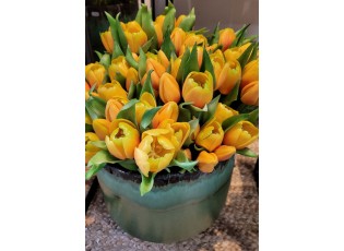 Kytice 7ks oranžových realistických tulipánů - 45cm