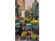 Kytice 7ks červených realistických tulipánů - 31cm J-Line by Jolipa
