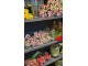 Kytice 7ks červených realistických tulipánů - 31cm J-Line by Jolipa