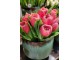 Kytice 7ks tmavě růžových realistických tulipánů Tulips - 31cm J-Line by Jolipa