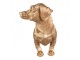Stojan na kuchyňské role jezevčík Dog Gold - 46*15*21 cm Clayre & Eef