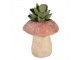 Cementový květináč houba Mushroom - Ø 21*23 cm Clayre & Eef