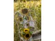 Béžová bavlněná utěrka se slunečnicemi Sunny Sunflowers - 50*70cm Clayre & Eef