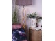 Dekorační zelená umělá rostlina - 27*27*34 cm Clayre & Eef