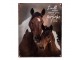 Hnědá nástěnná kovová cedule s koníky Horses - 20*1*25 cm Clayre & Eef
