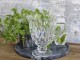 Džbán ze silnějšího skla s dekorem Diamond cut - 15*19,5cm Chic Antique