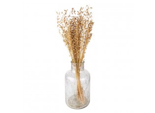 Béžová kytice sušený len - 60 cm (100 gr)