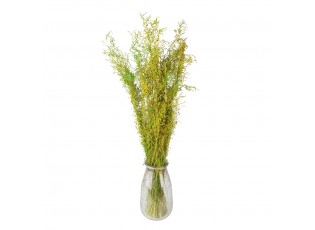 Dekorace zelená sušená květina - 90 cm (50 gr)