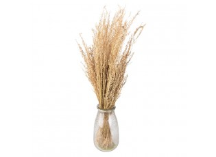 Dekorace béžová sušená květina - 60 cm (100 gr)