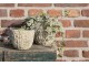 Cementový květináč se vzorem L- Ø 20*18 cm Clayre & Eef