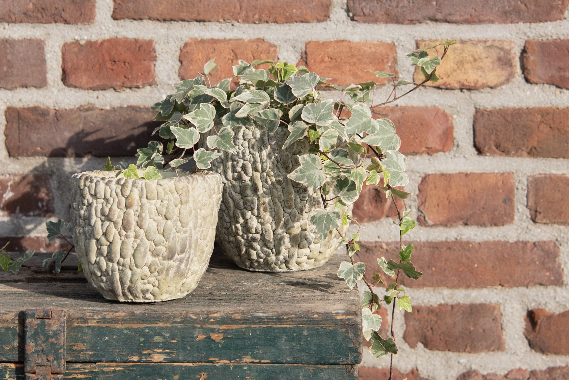 Cementový květináč se vzorem L- Ø 20*18 cm Clayre & Eef Cementový květináč se vzorem L- Ø 20*18 cm Clayre & Eef
