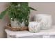 Cementový obal na květináč s jitrocelem Plantain S - Ø14*11cm Clayre & Eef
