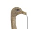 Bronzová antik nástěnná lampa pštros Ostrich bronze - 18*15*57 cm / E27 Light & Living
