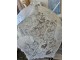 Průhledný dámský deštník s krajkovým vzorem Lace - Ø 80*80 cm Juleeze