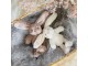Plyšová dekorační hračka hnědý zajíček Cuddly Bunny - 6*12*16cm Mars & More 