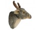 Nástěnná plyšová dekorace hlava jelen Cuddly Deer - 44*30*34cm Mars & More 