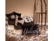 Bílo-černý povlak na polštář se stromky Believe Black&White X-Mas - 30*50 cm Clayre & Eef