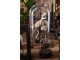Hnědý dřevěný podnos se skleněným poklopem Bell Jar - Ø 33*60 cm J-Line by Jolipa