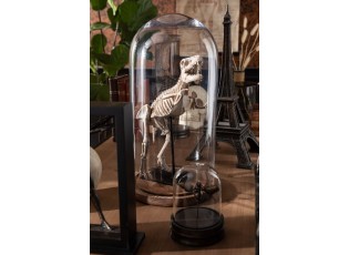 Hnědý dřevěný podnos se skleněným poklopem Bell Jar - Ø 33*60 cm