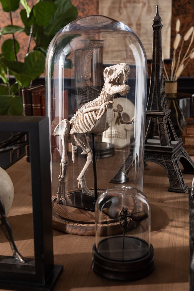 Hnědý dřevěný podnos se skleněným poklopem Bell Jar - Ø 33*60 cm J-Line by Jolipa Hnědý dřevěný podnos se skleněným poklopem Bell Jar - Ø 33*60 cm J-Line by Jolipa
