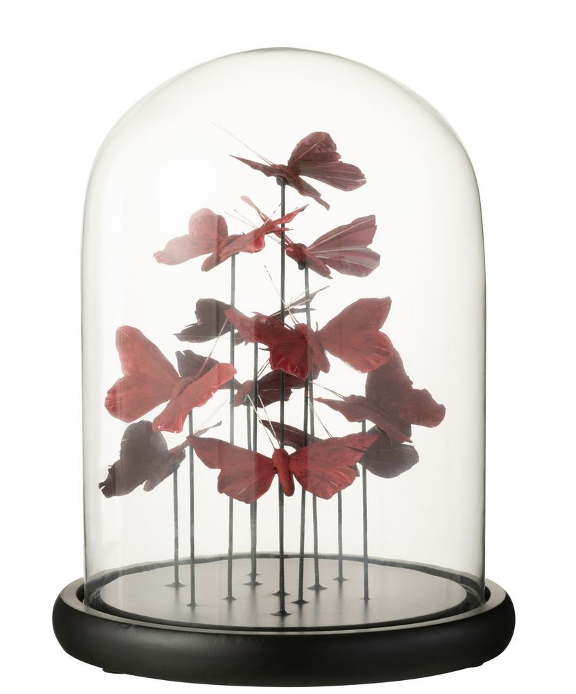Dekorativní podnos s vínovými motýlky a skleněným poklopem Butterflies - Ø 23*29cm J-Line by Jolipa Dekorativní podnos s vínovými motýlky a skleněným poklopem Butterflies - Ø 23*29cm J-Line by Jolipa