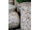 Zelená keramická dekorační váza s kvítky Florals Evry - Ø 11*17cm Chic Antique