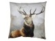 Sametový povlak na polštář Jelen Deer - 45*45 cm Clayre & Eef