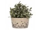 Béžový keramický obal na květináč s lučními květy Flora And Fauna M - Ø 16*9 cm Clayre & Eef