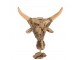 Dřevěná dekorace hlava býka na noze Bull Head - 41*15*59cm J-Line by Jolipa