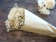 Dekorace sušená květina Baby's Breath Flowers - 77 cm Chic Antique