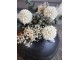 Dekorace sušená květina Baby's Breath Flowers - 77 cm Chic Antique