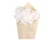 Bílá dekorace sušená květina hortenzie Hydrangea Flower - 60 cm Chic Antique