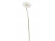 Bílá umělá dekorativní květina Gerbera - 10*10*64 cm J-Line by Jolipa