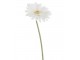 Bílá umělá dekorativní květina Gerbera - 10*10*64 cm J-Line by Jolipa