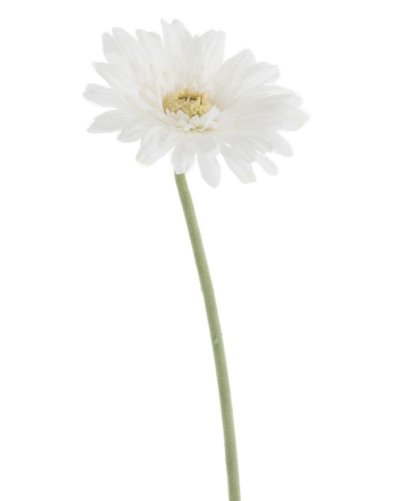 Bílá umělá dekorativní květina Gerbera - 10*10*64 cm J-Line by Jolipa Bílá umělá dekorativní květina Gerbera - 10*10*64 cm J-Line by Jolipa