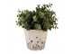 Béžový keramický obal na květináč s lučními květy Flora And Fauna S - Ø 12*11cm Clayre & Eef