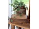Dřevěná přírodní retro bedýnka s víkem Brick old - 30*14*10 cm Chic Antique