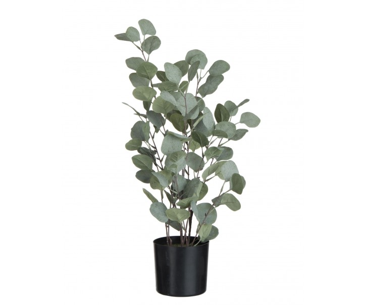 Dekorace Eucalyptus v květináči - Ø14*60 cm J-Line by Jolipa