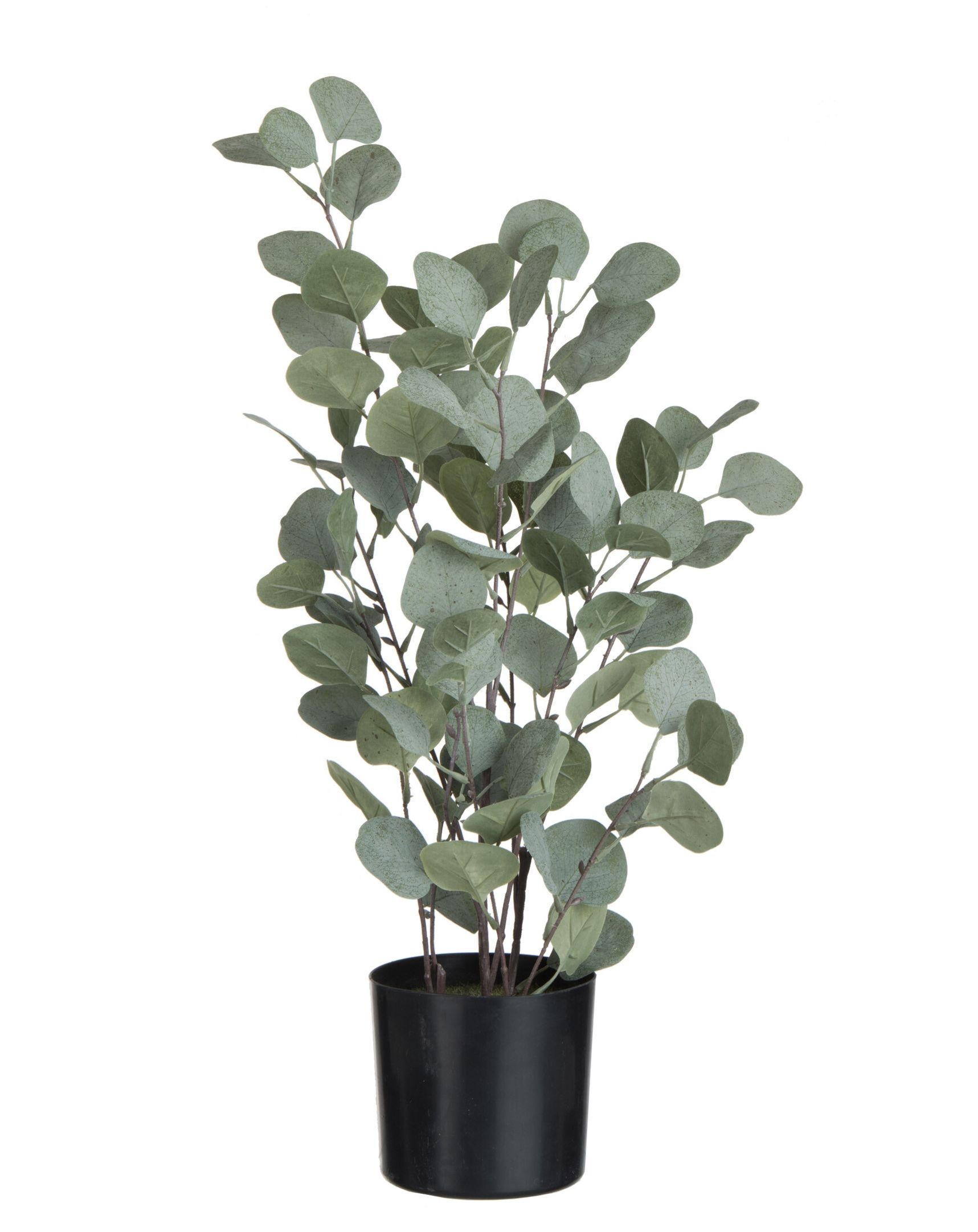 Dekorace Eucalyptus v květináči - Ø14*60 cm J-Line by Jolipa Dekorace Eucalyptus v květináči - Ø14*60 cm J-Line by Jolipa