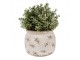 Béžový antik obal na květináč s olivami Olive Fields M - Ø 16*13 cm Clayre & Eef