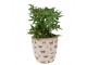 Béžový antik obal na květináč s motýlky Butterfly Paradise L - Ø 16*16 cm Clayre & Eef