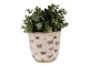 Béžový antik obal na květináč s motýlky Butterfly Paradise M - Ø 15*14 cm Clayre & Eef
