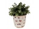 Béžový antik obal na květináč s motýlky Butterfly Paradise S - Ø 13*12 cm Clayre & Eef