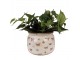 Béžový antik obal na květináč s motýlky Butterfly Paradise L - Ø 20*15 cm Clayre & Eef